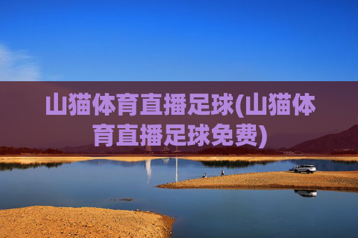 山猫体育直播足球(山猫体育直播足球免费)