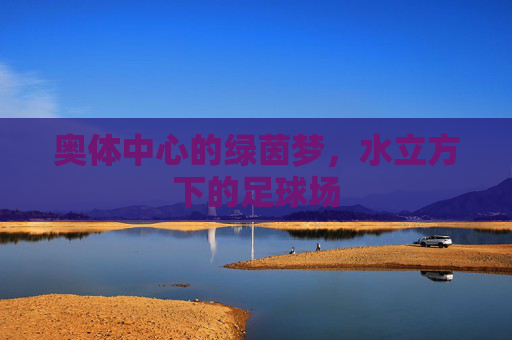 奥体中心的绿茵梦,水立方下的足球场