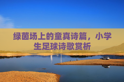 绿茵场上的童真诗篇,小学生足球诗歌赏析