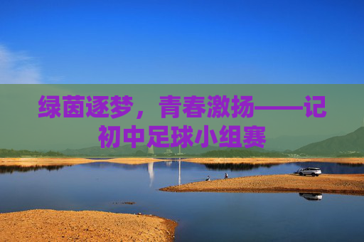 绿茵逐梦,青春激扬——记初中足球小组赛