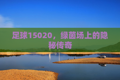 足球15020,绿茵场上的隐秘传奇