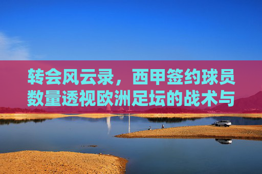 转会风云录，西甲签约球员数量透视欧洲足坛的战术与财政博弈