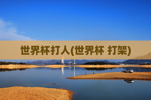 世界杯打人(世界杯 打架)