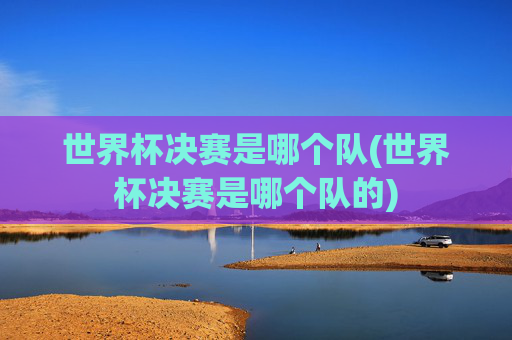 世界杯决赛是哪个队(世界杯决赛是哪个队的)