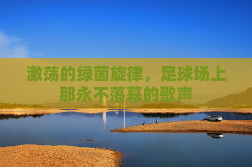 激荡的绿茵旋律，足球场上那永不落幕的歌声