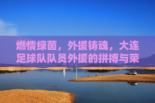燃情绿茵,外援铸魂,大连足球队队员外援的拼搏与荣耀