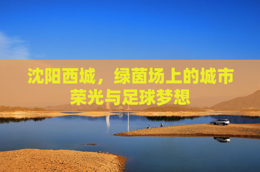 沈阳西城,绿茵场上的城市荣光与足球梦想
