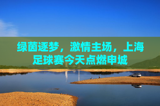 绿茵逐梦，激情主场，上海足球赛今天点燃申城