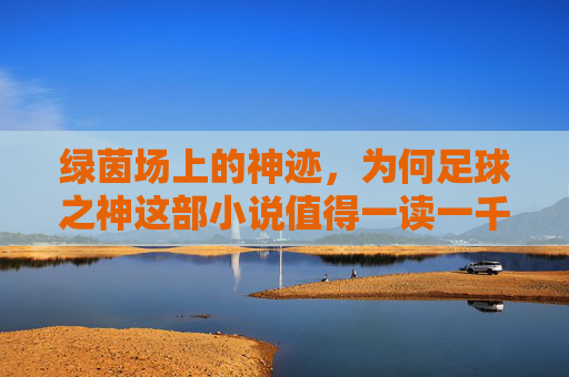 绿茵场上的神迹，为何足球之神这部小说值得一读一千多章