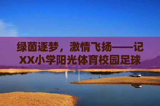 绿茵逐梦,激情飞扬——记XX小学阳光体育校园足球赛圆满落幕