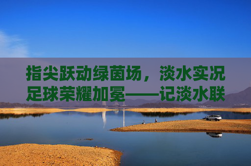 指尖跃动绿茵场,淡水实况足球荣耀加冕——记淡水联赛夺冠之路