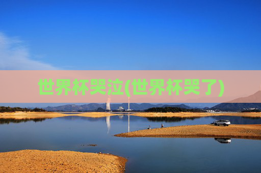 世界杯哭泣(世界杯哭了)