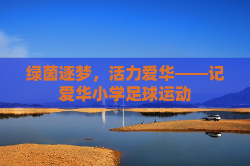绿茵逐梦,活力爱华——记爱华小学足球运动