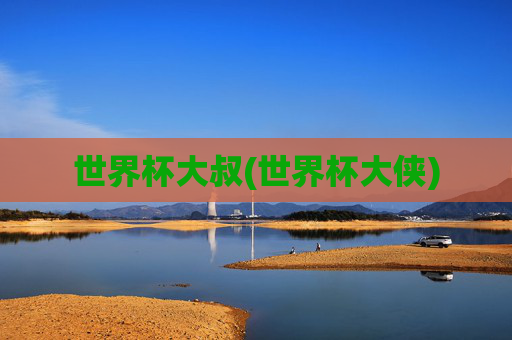 世界杯大叔(世界杯大侠)