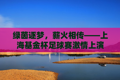 绿茵逐梦,薪火相传——上海基金杯足球赛激情上演