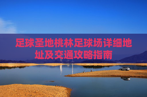 足球圣地桃林足球场详细地址及交通攻略指南