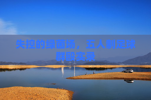 失控的绿茵场,五人制足球群殴实录