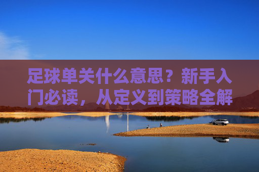 足球单关什么意思？新手入门必读，从定义到策略全解析