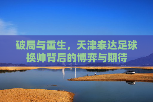 破局与重生,天津泰达足球换帅背后的博弈与期待