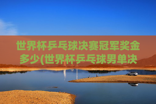 世界杯乒乓球决赛冠军奖金多少(世界杯乒乓球男单决赛)