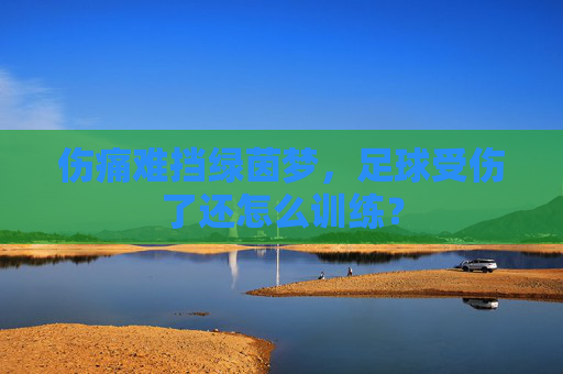 伤痛难挡绿茵梦,足球受伤了还怎么训练?