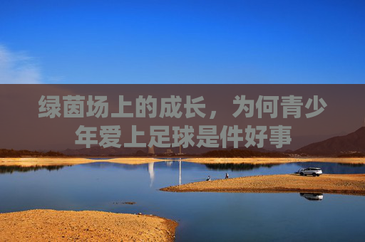 绿茵场上的成长,为何青少年爱上足球是件好事
