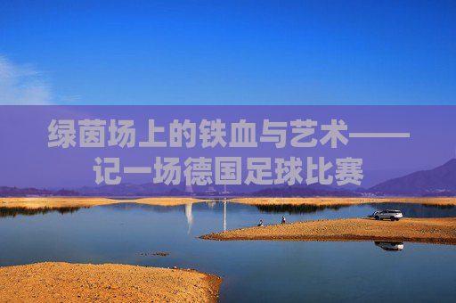 绿茵场上的铁血与艺术——记一场德国足球比赛