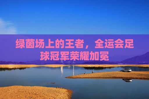 绿茵场上的王者,全运会足球冠军荣耀加冕