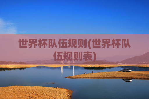 世界杯队伍规则(世界杯队伍规则表)