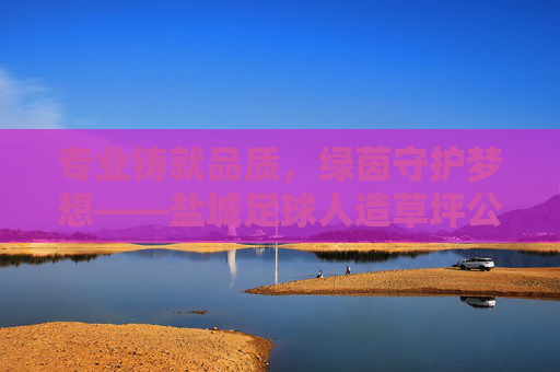 专业铸就品质,绿茵守护梦想——盐城足球人造草坪公司引领行业新标准