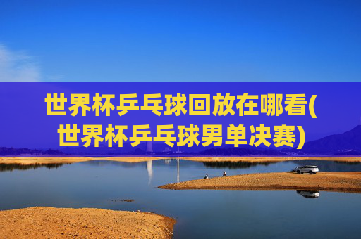 世界杯乒乓球回放在哪看(世界杯乒乓球男单决赛)