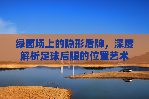 绿茵场上的隐形盾牌,深度解析足球后腰的位置艺术