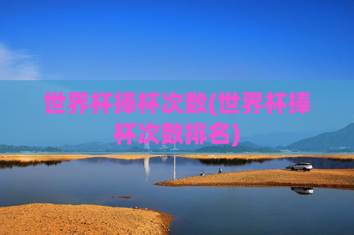 世界杯捧杯次数(世界杯捧杯次数排名)