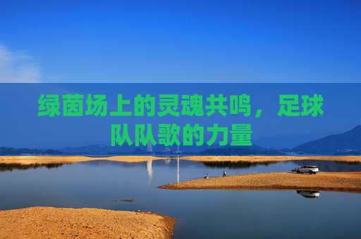绿茵场上的灵魂共鸣，足球队队歌的力量