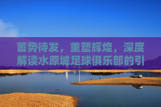蓄势待发,重塑辉煌,深度解读水原城足球俱乐部的引援策略与未来图景