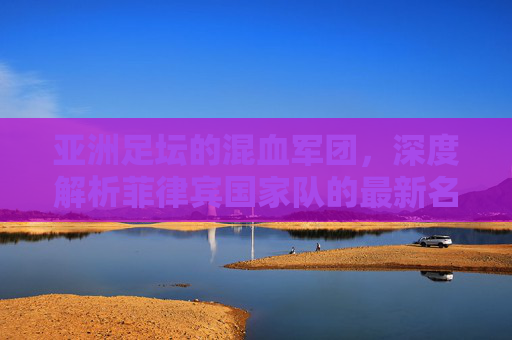 亚洲足坛的混血军团,深度解析菲律宾国家队的最新名单与归化风云