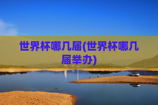 世界杯哪几届(世界杯哪几届举办)