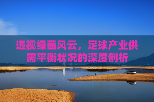 透视绿茵风云,足球产业供需平衡状况的深度剖析