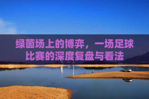 绿茵场上的博弈,一场足球比赛的深度复盘与看法