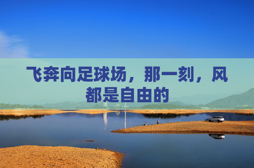 飞奔向足球场,那一刻,风都是自由的