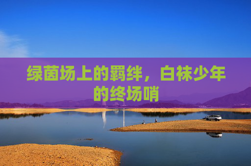 绿茵场上的羁绊,白袜少年的终场哨