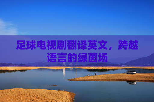 足球电视剧翻译英文,跨越语言的绿茵场