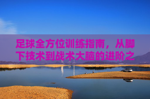 足球全方位训练指南,从脚下技术到战术大脑的进阶之路
