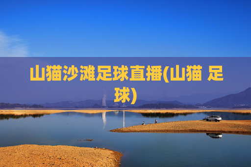山猫沙滩足球直播(山猫 足球)