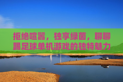 拒绝喧嚣,独享绿茵,聊聊踢足球单机游戏的独特魅力
