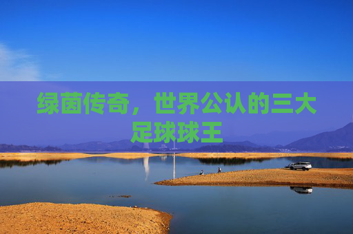 绿茵传奇,世界公认的三大足球球王