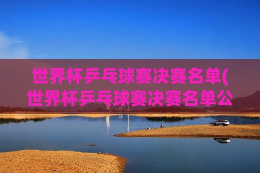 世界杯乒乓球赛决赛名单(世界杯乒乓球赛决赛名单公布)