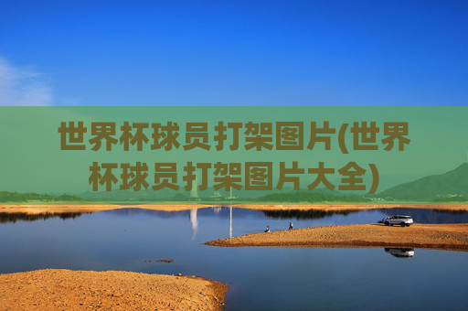 世界杯球员打架图片(世界杯球员打架图片大全)