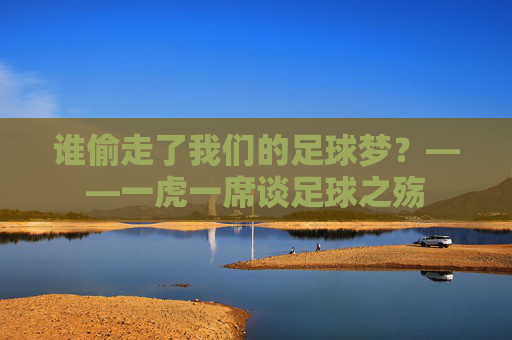 谁偷走了我们的足球梦？——一虎一席谈足球之殇