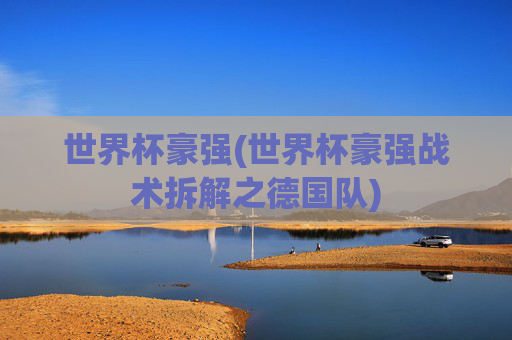 世界杯豪强(世界杯豪强战术拆解之德国队)
